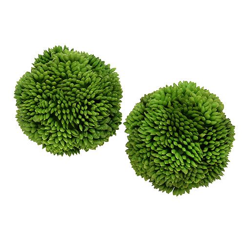 Floristik24 Allium labda 5cm zöld 4db