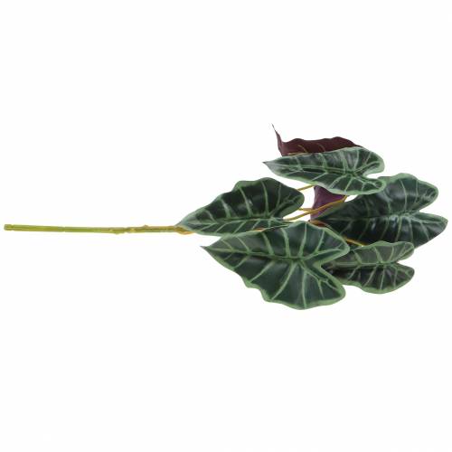 tételeket Alocasia nyíl levélzöld, ibolya műnövény H48cm