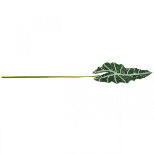 tételeket Mesterséges nyíllevél műnövény alocasia deco zöld 74cm