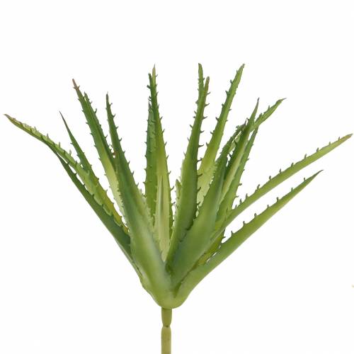 Floristik24 Aloe Vera mesterséges zöld 26cm