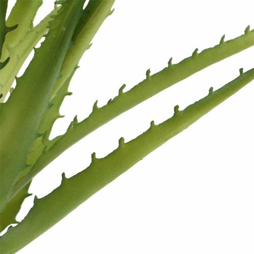 tételeket Aloe Vera mesterséges zöld 26cm