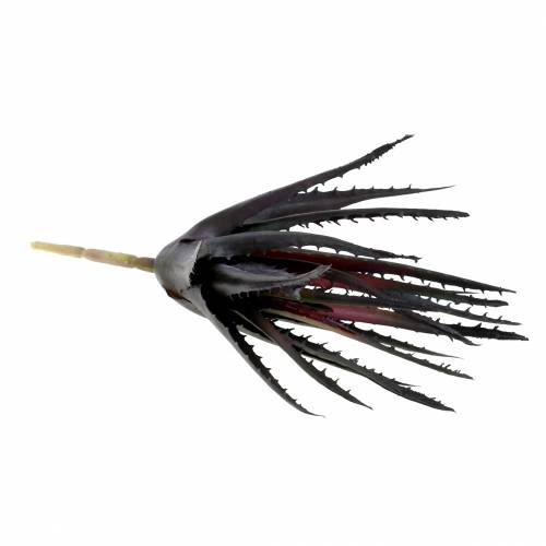 tételeket Aloe Vera műlila 26cm