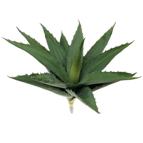 Floristik24 Aloe ág műzöld 47cm