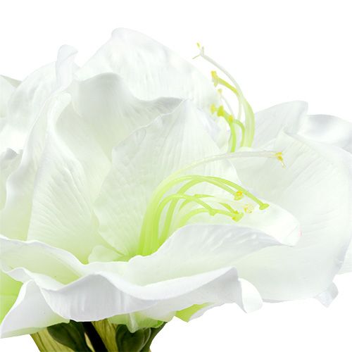 tételeket Amarillisz virág fehér L 73cm 2db