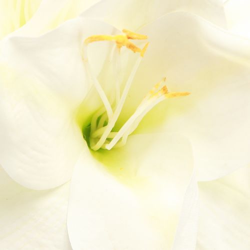 Floristik24 Amarillisz karácsonyi művirág L55cm fehér 2db