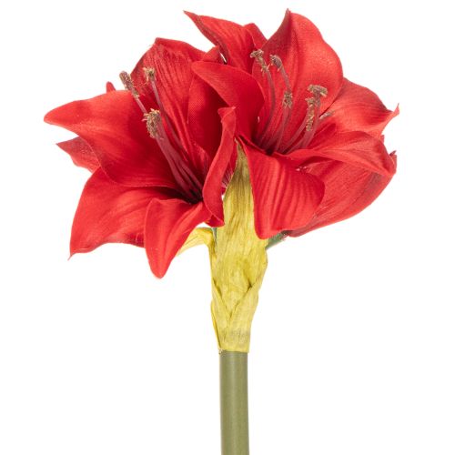 Művörös amarillisz virág szárral, karácsonyi virágdísz, 50cm | Floristik24.hu