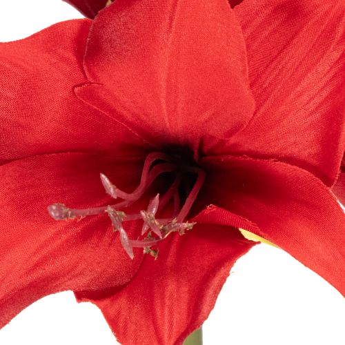 Művörös amarillisz virág szárral, karácsonyi virágdísz, 50cm | Floristik24.hu