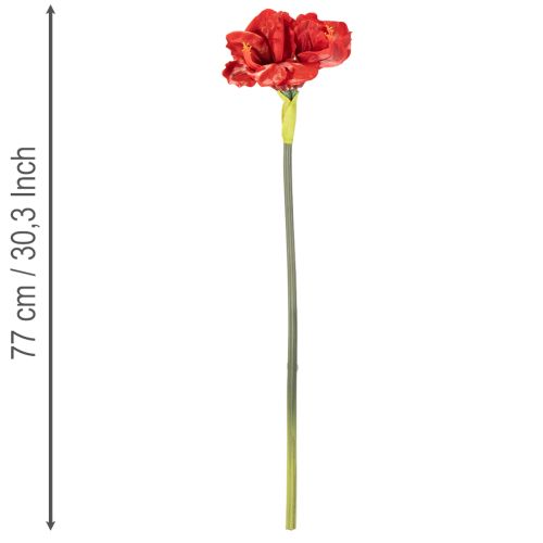 Művirág amarillisz, piros, hosszú szár, vázába és kompozícióba, 77 cm | Floristik24.hu