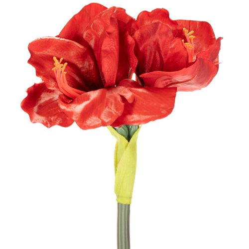 Művirág amarillisz, piros, hosszú szár, vázába és kompozícióba, 77 cm | Floristik24.hu