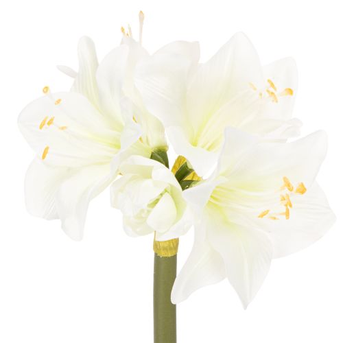 Művirág amarillisz, fehér, szárral, adventi és karácsonyi, 50cm vétel | Floristik24.hu