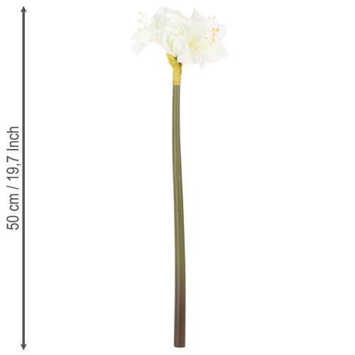 Művirág amarillisz, fehér, szárral, adventi és karácsonyi, 50cm | Floristik24.hu