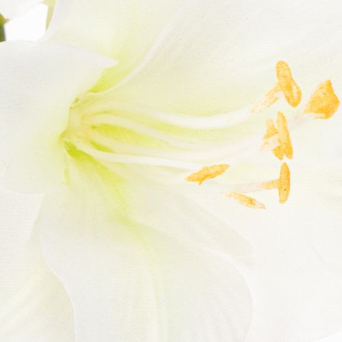 Művirág amarillisz, fehér, szárral, adventi és karácsonyi, 50cm | Floristik24.hu