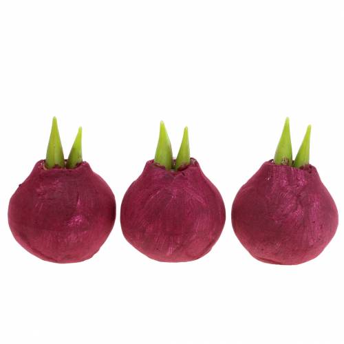 Floristik24 Amarillisz izzó Műbordó H12,5cm 3db