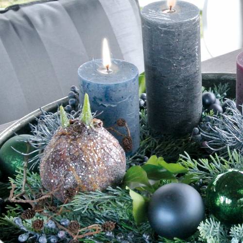 Floristik24 Amarillisz izzó csillámos műbarnával H19cm