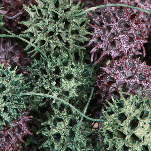 tételeket Borostyánfa kúp dekoráció zöld bogyós fagyos natúr dekoráció 500g