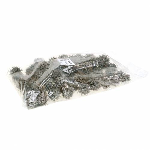 Floristik24 Sweetgum tobozok natúr mosott fehér 250g