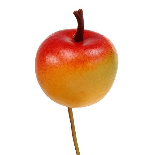 Floristik24 Alma Ø3,5cm Cox 36db