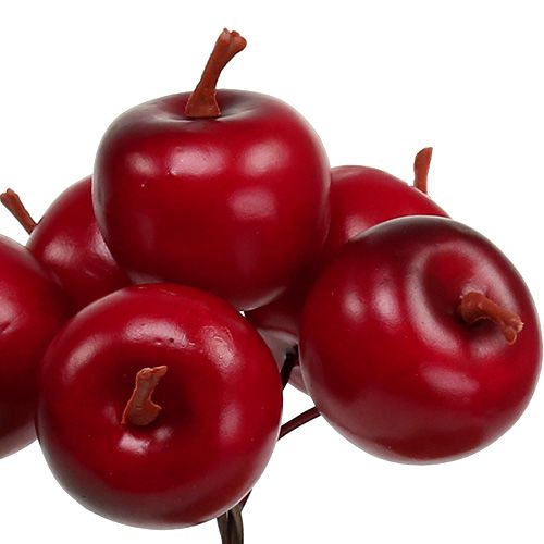 Floristik24 Alma Ø3,5cm piros 36db