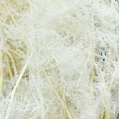 tételeket Spárgaszárított Fű Díszspárga Krém 90cm 5 db