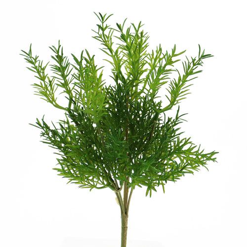 Floristik24 Spárgaszedő 26cm