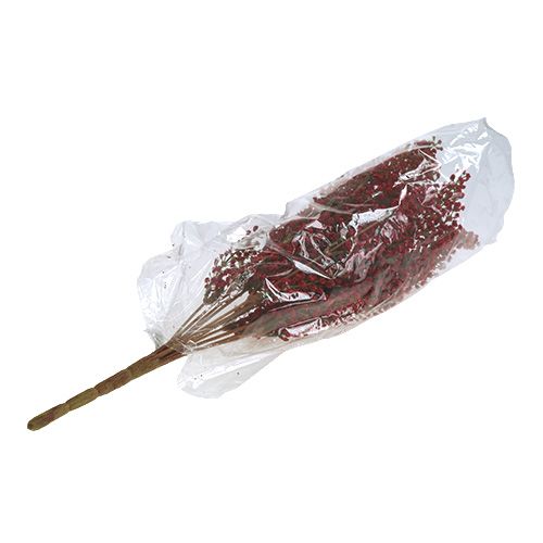 Floristik24 Astilben bokor piros 52cm