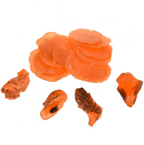 Floristik24 Osztriga kagyló capiz szeletek nettó narancsban 3,5-9,5 cm 2db