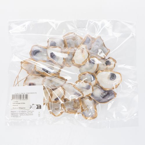 tételeket Osztrigakoszorú kagylódekoráció, tengerészeti lakberendezési kiegészítő, természetes fali dekoráció, 12 cm