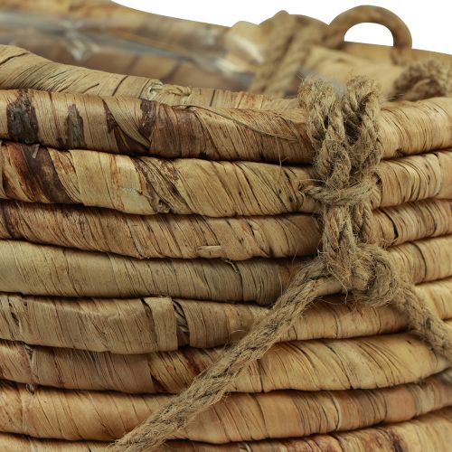 Floristik24 Kosár akasztható vízi jácint natúr 25/31 cm-es 2 db-os készlet