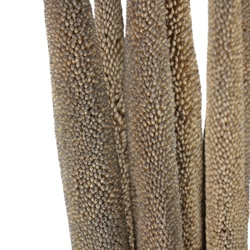 tételeket Babala műköles spray-k szárazvirág- és dekorációs kompozíciókhoz