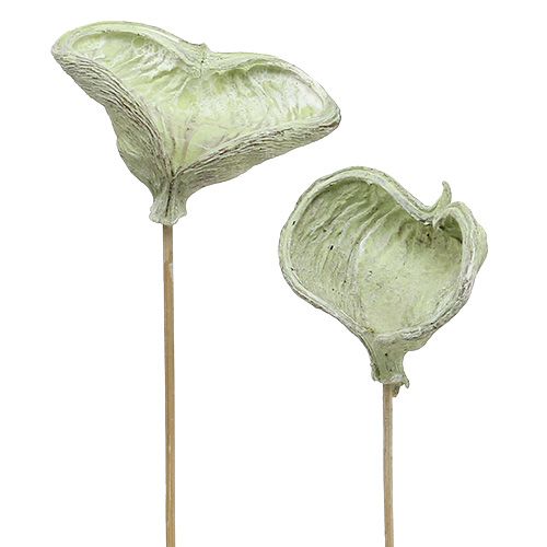 tételeket Badam pálcás natúr díszítéssel zöld fehér mosott 25 db