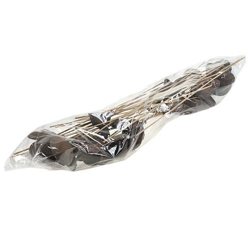 tételeket Badam pálcán natúr 6cm - 12cm 23 db