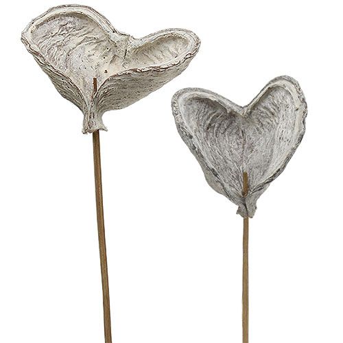 tételeket Badam pálcán fehérre meszelt 12cm L55cm 23 db