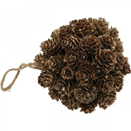 tételeket Vörösfenyő kúp függő dekorációs kúpok függeszthető természethez Ø10cm