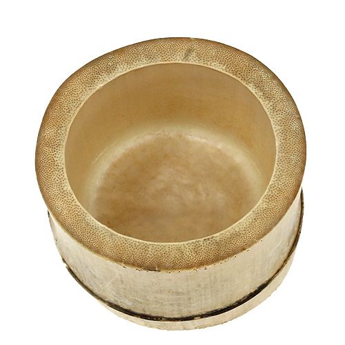 Floristik24 Bambusz ültetőgép Ø7cm H10cm