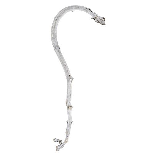 tételeket Banánpálcika Fehér 5 db