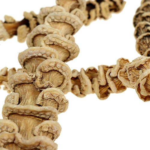 Floristik24 Banánszár fehérített 20 db