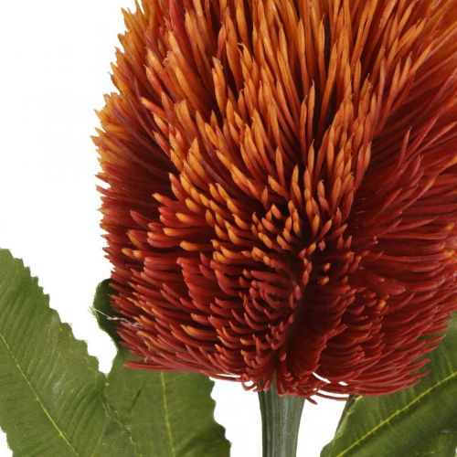 tételeket Művirág Banksia Narancs őszi dekoráció temetési virágok 64cm