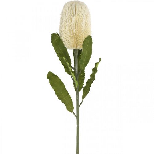 Floristik24 Művirág Banksia fehér krém Artificial Exotics 64cm
