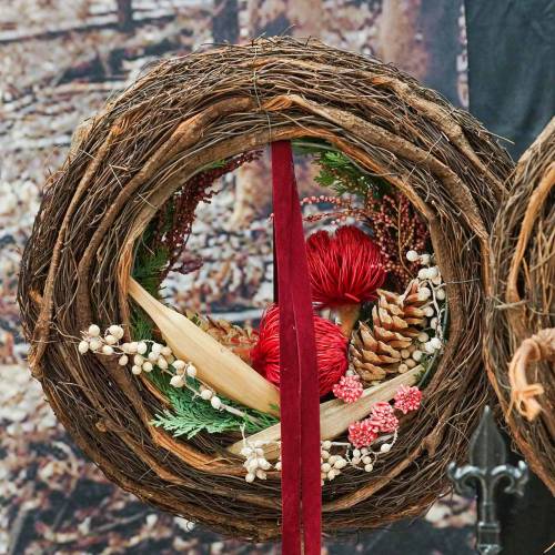 Floristik24 Banksia Baxteri Banksie egzotikus szárított virágok piros 10 db-os csomag