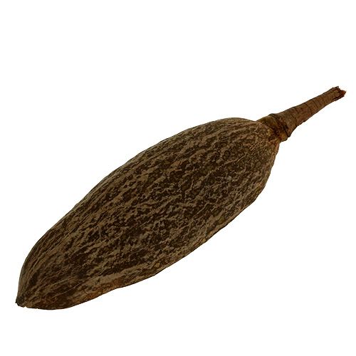 Floristik24 Baobab tál natúr 30cm - 38cm hámozott