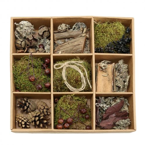 Floristik24 Kézműves készlet őszi mix