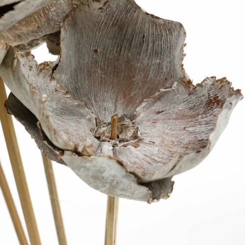 tételeket Pálmafa kehely pálcikán, fehérre meszelt, 25 darab