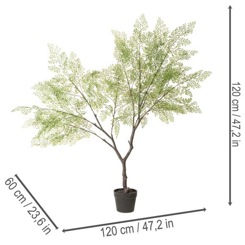 Műfenyő finom levelekkel, 120 cm | Floristik24.hu