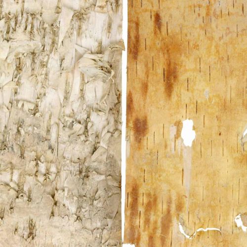 Floristik24 Fakéreg dekoratív kéregcsíkok natúr nyírfa kéreg 30×12cm 6 db