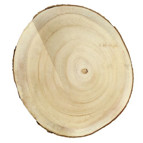 Floristik24 Faszelet jellegű Ø20cm - 30cm