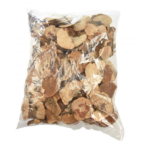 Floristik24 Faszivacs kis natúr fa gomba dekoráció 4-6cm 1kg