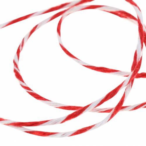 Floristik24 Vezeték piros/fehér 220m