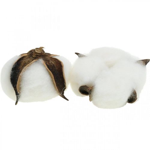 tételeket Művirágok szárazvirág-kompozíciókhoz és asztaldíszekhez