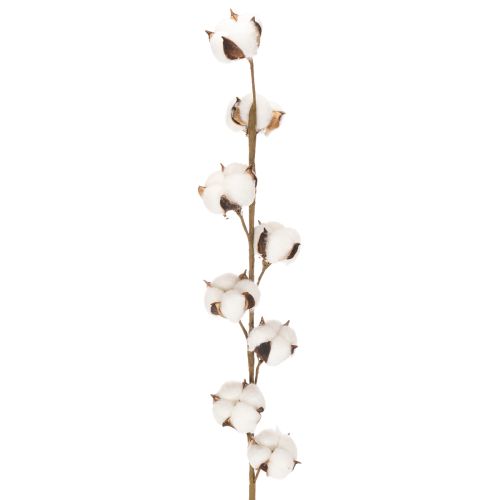 Műpamut ág 8 igazi virággal, 78 cm vétel | Floristik24.hu