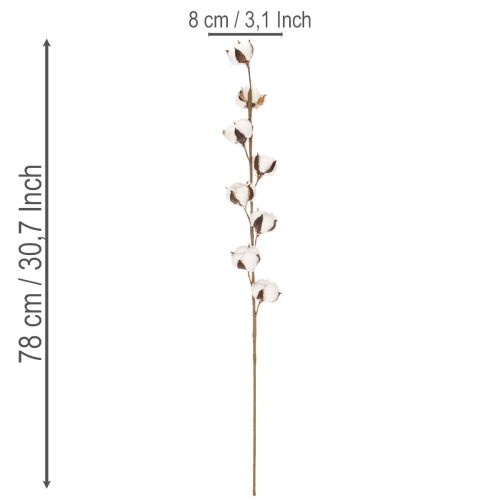 Műpamut ág 8 igazi virággal, 78 cm | Floristik24.hu